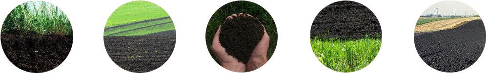 Черноезем с доставкой. Купить чернозем. Чернозем круги. Чернозем поле. Чернозем руки